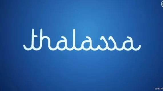 logo émission thalassa émission thalassa