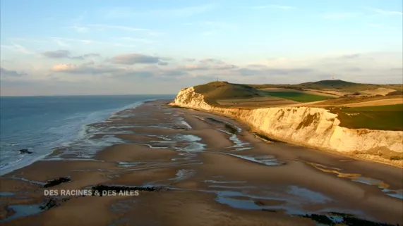 Cap Blanc-Nez-côte d’Opale©troisièmeoeil   Cap Blanc-Nez-côte d’Opale©troisièmeoeil