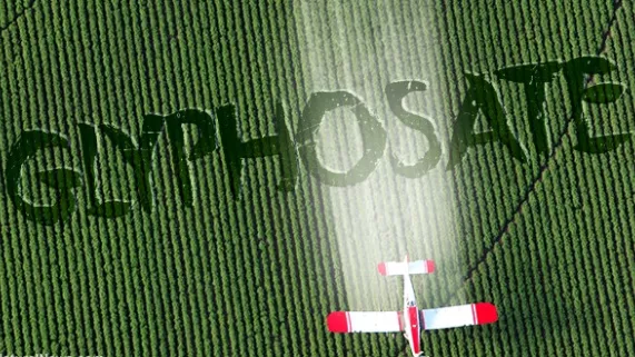 glyphosate glyphosate