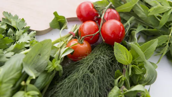 LES ESCAPADES DE PETITRENAUD