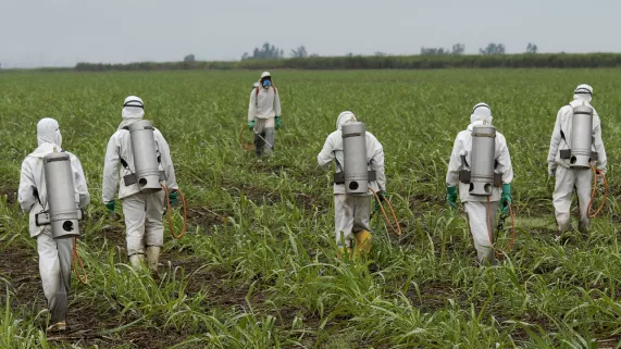 Glyphosate