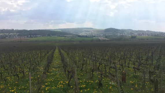 Château-Thierry,   le fabuleux joyau  de la vallée de la Marne