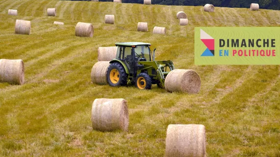 Agriculture