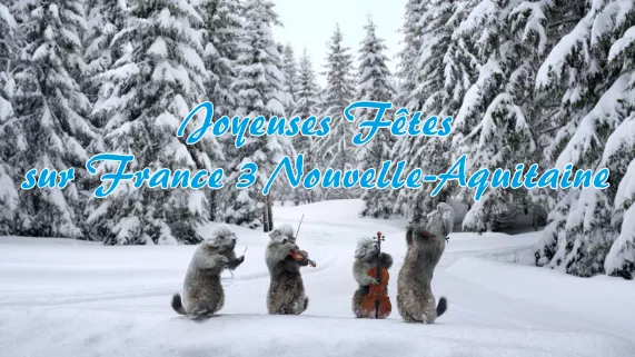 Joyeuses Fêtes Joyeuses Fêtes