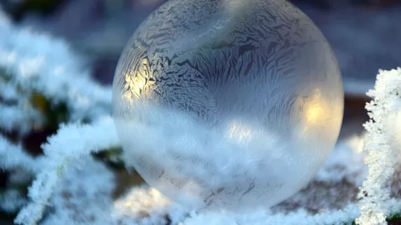 BOULE NOEL