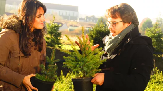 Gaëlle Grandon Noël en Bourgogne Gaëlle Grandon Noël en Bourgogne