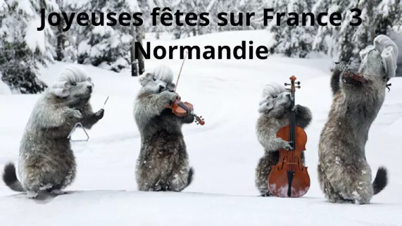 Joyeuses fêtes sur France 3 Nouvelle-Aquitaine Joyeuses fêtes sur France 3 Nouvelle-Aquitaine