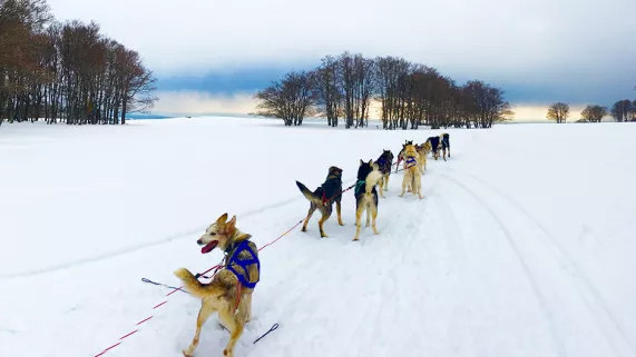 France 3 Nouvelle Aquitaine  France 3 Nouvelle Aquitaine