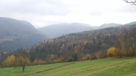 C'est là ! Jura, terre de bois