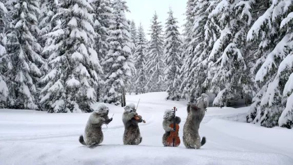 Marmottes musiques  Marmottes sur la neige parmi les sapins