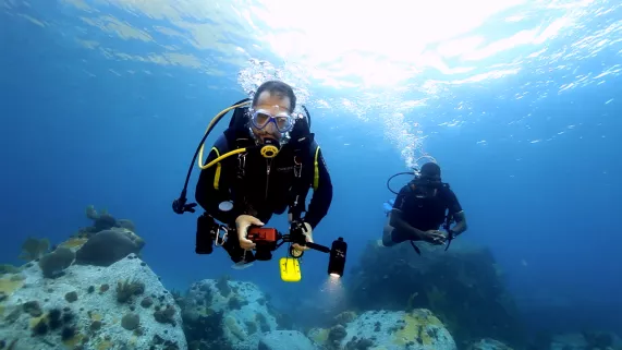 Les secrets de la mer ©Teddy Albert Les secrets de la mer