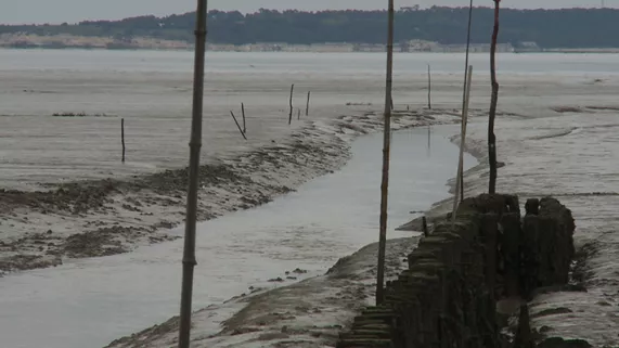 l'estuaire L'estuaire