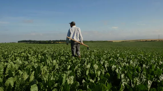 Tous pour un, dans le secret des coopératives agricoles - © Callysta Productions Un agriculteur dans un champ
