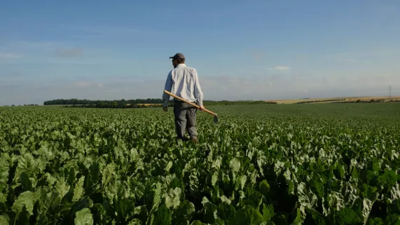 Tous pour un Tous pour un