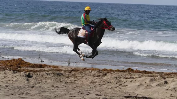 Galop sur le Tombolo