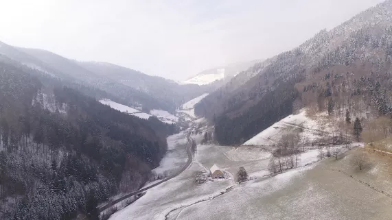 Pourquoi chercher plus loin - Sainte Marie aux Mines, une mine de trésors Pourquoi chercher plus loin - Sainte Marie aux Mines, une mine de trésors