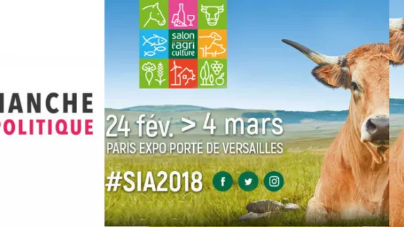 Dimanche en politique SIA Dimanche en politique SIA