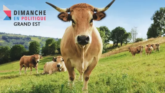 Dimanche en politique Grand Est au salon de l'agriculture Dimanche en politique Grand Est au salon de l'agriculture