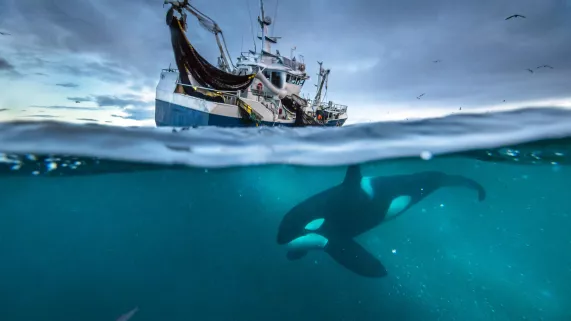BBC PLANÈTE BLEUE 2