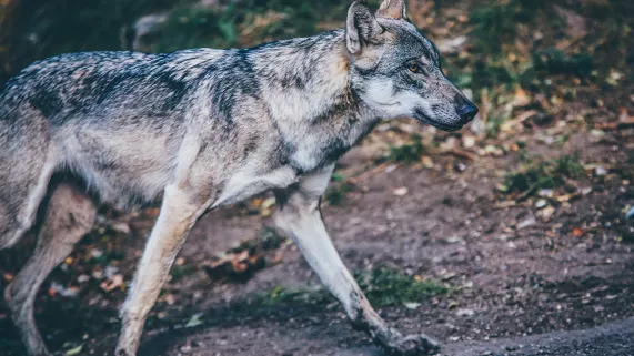 Photo by Nick Karvounis on Unsplash Photo by Nick Karvounis on Unsplash