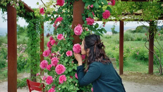 L'IMPORTANT C'EST LA ROSE