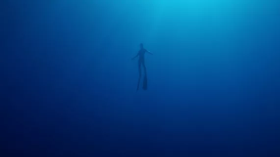 Génération grand bleu