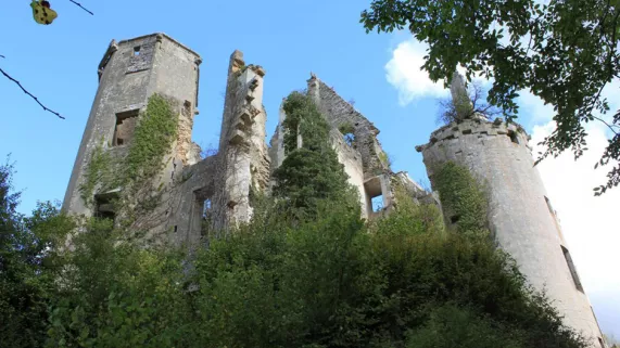 Château de Rochefort / © Christophe.Finot / Licence CC by Wikipedia patrimoine
