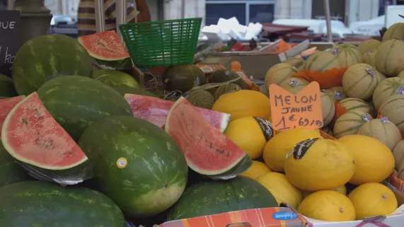 MELON, PASTEQUE : DUEL AU SOLEIL