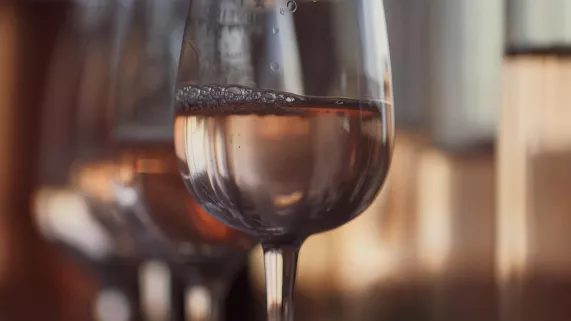 ROSE, UNE REVOLUTION DU PALAIS