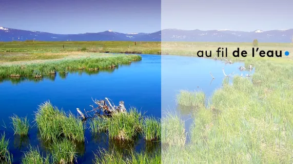 Au fil de l'eau ® France 3 Au fil de l'eau ® France 3