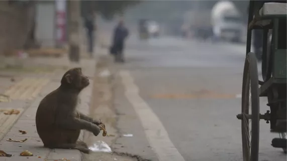 J'ai marché sur la Terre en Inde J'ai marché sur la Terre en Inde