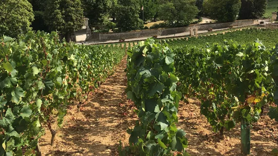 Château de Santenay 71 Château de Santenay 71