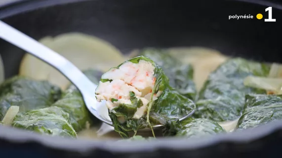 Les plantes comestibles du Pacifique Les plantes comestibles du Pacifique