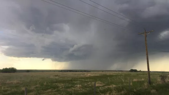 NON      LE MONDE DE JAMY