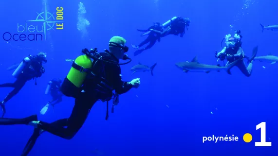 Bleu Océan - Le doc n°2 Bleu Océan - Le doc n°2