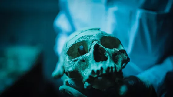 APOCALYPSE NEANDERTHAL