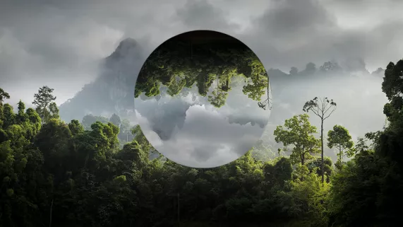 Visuel Une journée pour la Terre