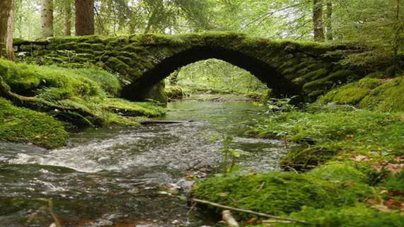 La rivière©FranceTélévisions/BOTravail ! La rivière