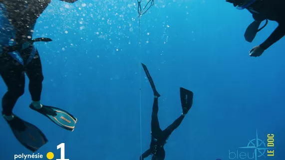 @servicecommunicationpolynésiela1ère Bleu Océan - Le doc n°3