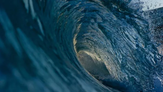 F3 S50 2018 - THALASSA pays basque