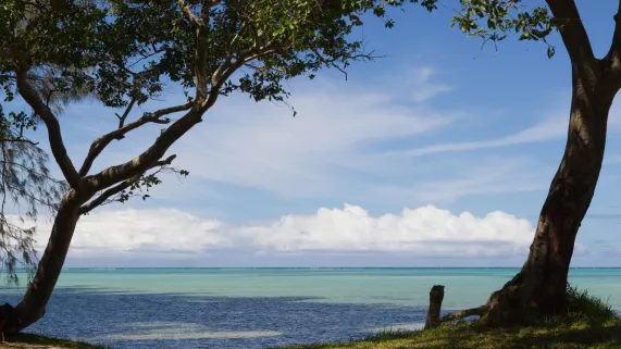 Photo NC Nathalie Guyon Photo NC Nathalie Guyon