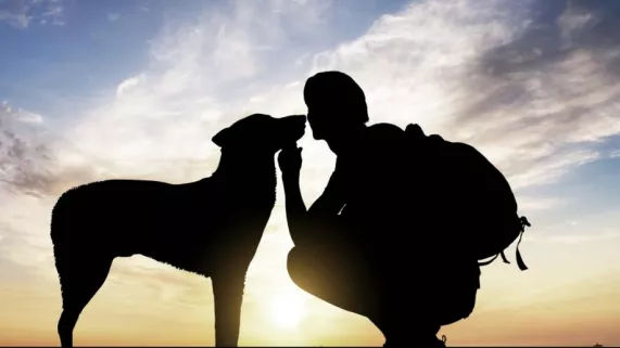 Le plus bel ami de l’homme Le plus bel ami de l’homme