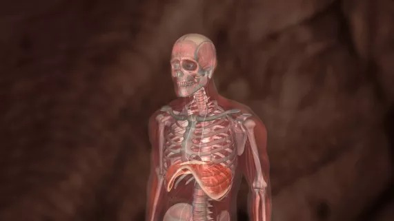 L'HISTOIRE SECRÈTE DE NOTRE CORPS 