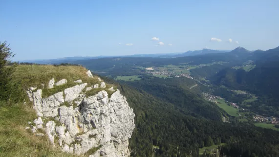 C'est là ! Sensationnel Mont d'Or C'est là ! Sensationnel Mont d'Or