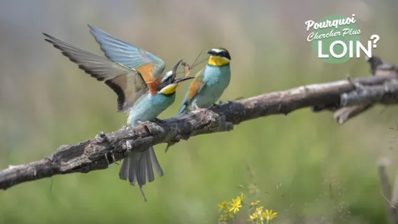 Pourquoi chercher plus loin - Nature sauvage, l'esprit d'aventure Pourquoi chercher plus loin - Nature sauvage, l'esprit d'aventure
