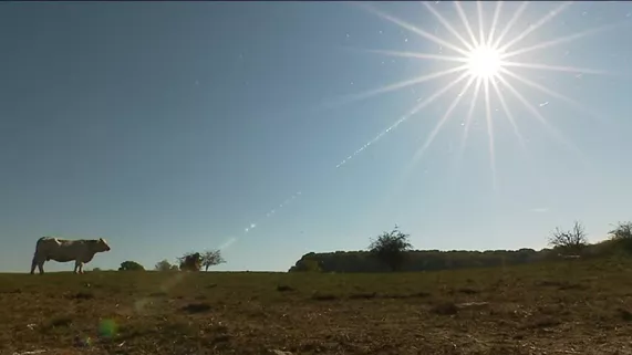 image de campagne©F3FC campagne
