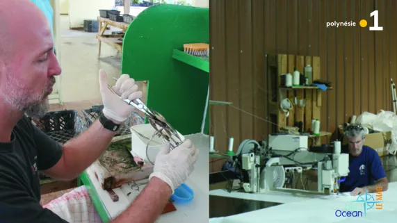 Bleu Océan - le mag n°12 Bleu Océan - le mag n°12