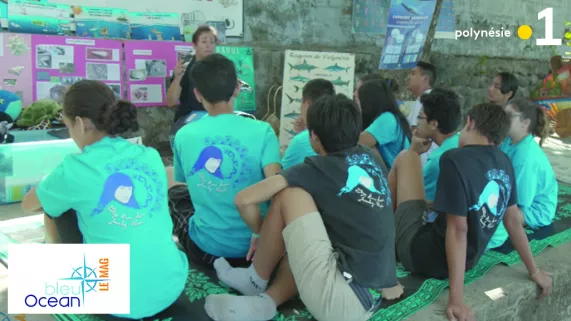 tf bleu océan  tf bleu océan