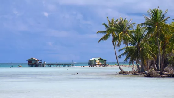 ECLECTIC POLYNESIE, LES SECRETS D'UN PARADIS