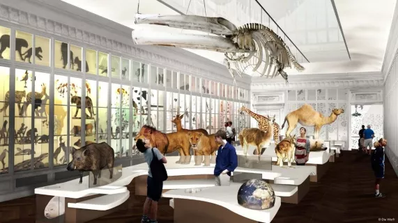 Muséum de Bordeaux  Muséum de Bordeaux